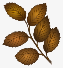 Fall Leaves Branch Svg Clip Arts - Brown Leaves Clipart, HD Png Download, Transparent PNG