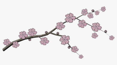 Japanese Tree Branch Png , Png Download - Cherry Blossom, Transparent Png, Transparent PNG