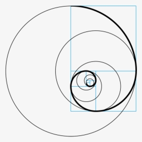 Transparent Fibonacci Spiral Png - Circle, Png Download, Transparent PNG