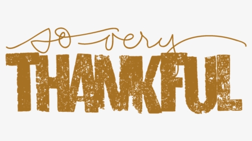 Img - We Are So Thankful, HD Png Download, Transparent PNG