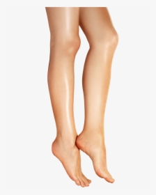 Parts Of The Body Leg, HD Png Download, Transparent PNG