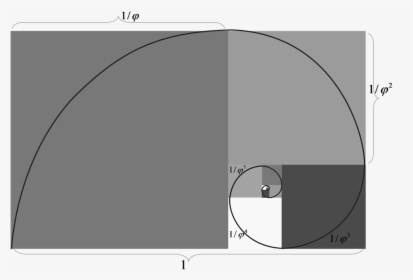 The Golden Ratio Is Everywhere - Circle, HD Png Download, Transparent PNG