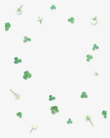This Graphics Is Green Cute Four Leaf Clover Floating - Poster, HD Png Download, Transparent PNG