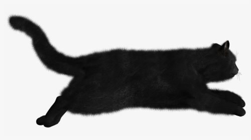 Черная Кошка Png, Transparent Png, Transparent PNG