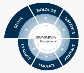 Biomimicry Design Spiral, HD Png Download, Transparent PNG