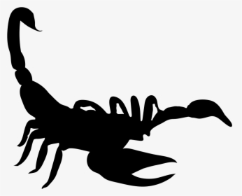 Scorpion Shape - Scorpion Icon, HD Png Download, Transparent PNG