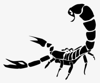 Scorpion Tattoo Silhouette PNG Images Scorpion Tattoo Black Tattoo  Scorpion Tattoo Scorpion Tattoo PNG Image For Free Download