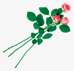 Transparent Clipart Image Pink Rose Png With Leaf - Yellow Colour Rose Flower Png Hd, Png Download, Transparent PNG