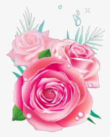 Transparent Watercolor Roses Png - ดอก กุหลาบ สีชมพู Png, Png Download, Transparent PNG