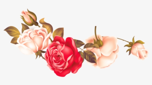 Rose Png Flower Image Free Download Searchpng - Garden Roses, Transparent Png, Transparent PNG