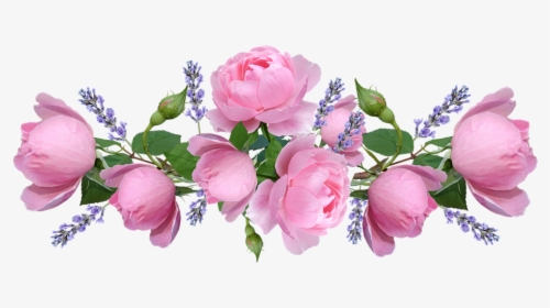 Lavender Roses Png, Transparent Png, Transparent PNG