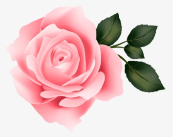 Free Png Pink Rose Png Images Transparent , Png Download - Yellow Roses Clipart Transparent Background, Png Download, Transparent PNG
