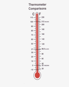 Read Temperature On Clinical Thermometer, HD Png Download, Transparent PNG