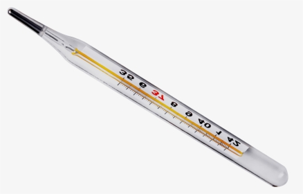 Thermometer Png - Transparent Thermometer Png, Png Download, Transparent PNG