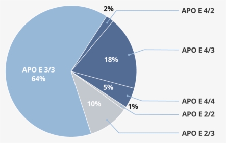 Pie Chart Showing Percentages Of Apo E Gene Types - Apoe Genotype, HD Png Download, Transparent PNG