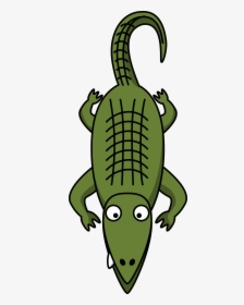 Crocodile Clipart Kid - Alligator Clip Art, HD Png Download, Transparent PNG