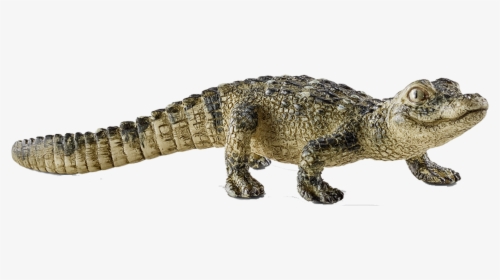 Rotate Resize Tool Drawing - Schleich Crocodile Babies, HD Png Download, Transparent PNG