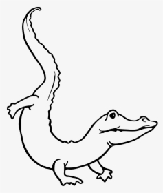 Drawing At Getdrawings Com - Alligator Outline, HD Png Download, Transparent PNG