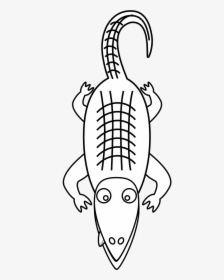 Pictures Of Alligator Free Download Clip Art Png - Alligator Clip Art, Transparent Png, Transparent PNG