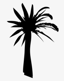 Palm Oil Tree Silhouette, HD Png Download, Transparent PNG