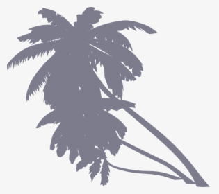 Animated Palm Tree Png, Transparent Png, Transparent PNG