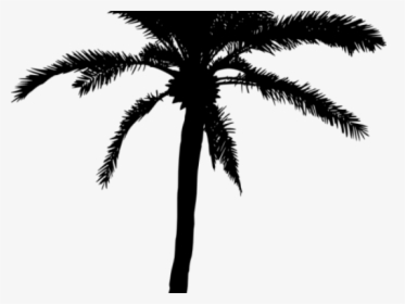 Palm Tree Silhouette Png - Palm Tree Vector Png, Transparent Png, Transparent PNG