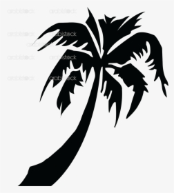 Arabistock Picture Of Palmtree - Palm Tree Silhouette, HD Png Download, Transparent PNG
