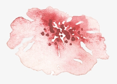 Of A Friends Wedding In The Summer Of - Cherry Blossom, HD Png Download, Transparent PNG