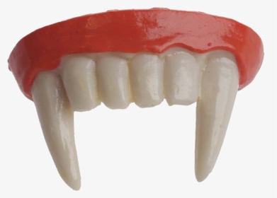 Vampire Fang Tooth Pathology Dentures - Transparent Vampire Teeth, HD Png Download, Transparent PNG