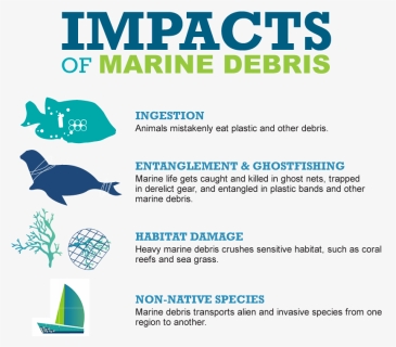 Impacts Of Marine Debris - Impacts Of Marine Litter, HD Png Download, Transparent PNG