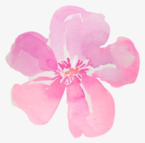 Flowers Hibiscus Png Watercolor , Png Download - Water Color Flower Free, Transparent Png, Transparent PNG