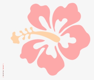 Pink Hibiscus Svg Clip Arts - Hibiscus Clipart, HD Png Download, Transparent PNG