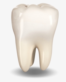 Extracted Tooth Ocala, Fl - Hearing, HD Png Download, Transparent PNG