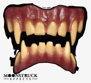 Tinsley Fx Teeth Werewolf , Png Download - Wolfs Teeth, Transparent Png, Transparent PNG