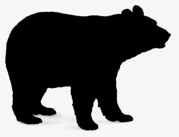 Polar Bear Brown Bear American Black Bear Vector Graphics - Vector Black Bear Png, Transparent Png, Transparent PNG