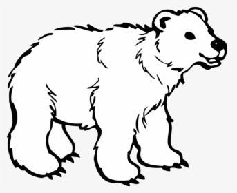 Polar Bear Hd Image Clipart - Polar Bear Black And White, HD Png Download, Transparent PNG