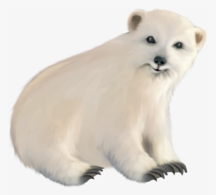 23477 - Polar Bear, HD Png Download, Transparent PNG