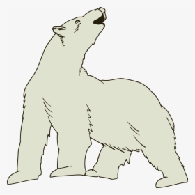 Polar Bear 3 Clip Arts - Clip Art Polar Bear, HD Png Download, Transparent PNG
