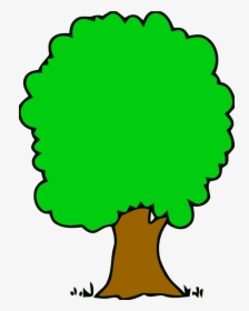 Malachite Green Big Tree Clipart Png - Tree Clip Art, Transparent Png, Transparent PNG