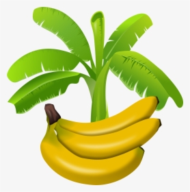 Banana Tree Clipart Png - Gambar Pohon Pisang Kartun, Transparent Png, Transparent PNG