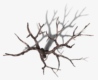 Dead Tree Top Down, HD Png Download, Transparent PNG