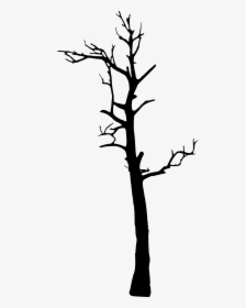 Tree Woody Plant Clip Art - Tree Silhouette Art Transparent, HD Png Download, Transparent PNG