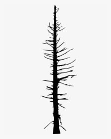 Silhouette Vector Dead Tree, HD Png Download, Transparent PNG