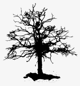 Deadtree Logo-01, HD Png Download, Transparent PNG
