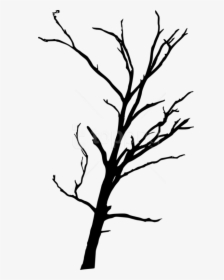 Free Png Dead Tree Silhouette Png Images Transparent - Dead Trees Transparent Background, Png Download, Transparent PNG
