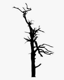 Dead Tree Silhouette Transparent Png Png Dead Trees - Dead Trees Silhouette Free, Png Download, Transparent PNG