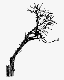 Stroke Drawing Dead - Twig, HD Png Download, Transparent PNG