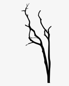 Scary Dead Tree Drawing, HD Png Download, Transparent PNG