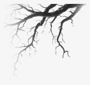 #tree #deadtree #forest #nature #branch #foreground - Tree Drawing Horror, HD Png Download, Transparent PNG