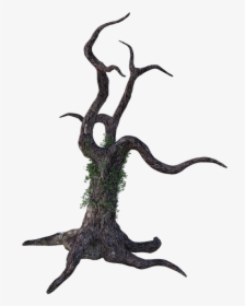 Dead Tree, Bark, Ivy, Limbs, Wood, Forest, Brown, Trunk - Illustration, HD Png Download, Transparent PNG